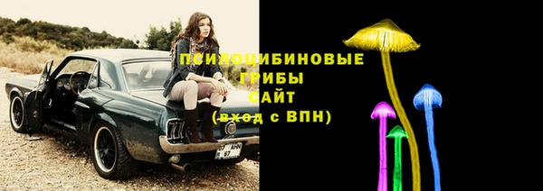 мет Нефтегорск