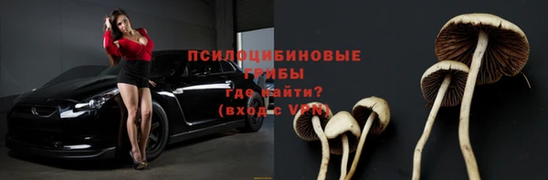 дживик Алзамай