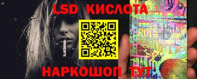 прущие грибы Кимры