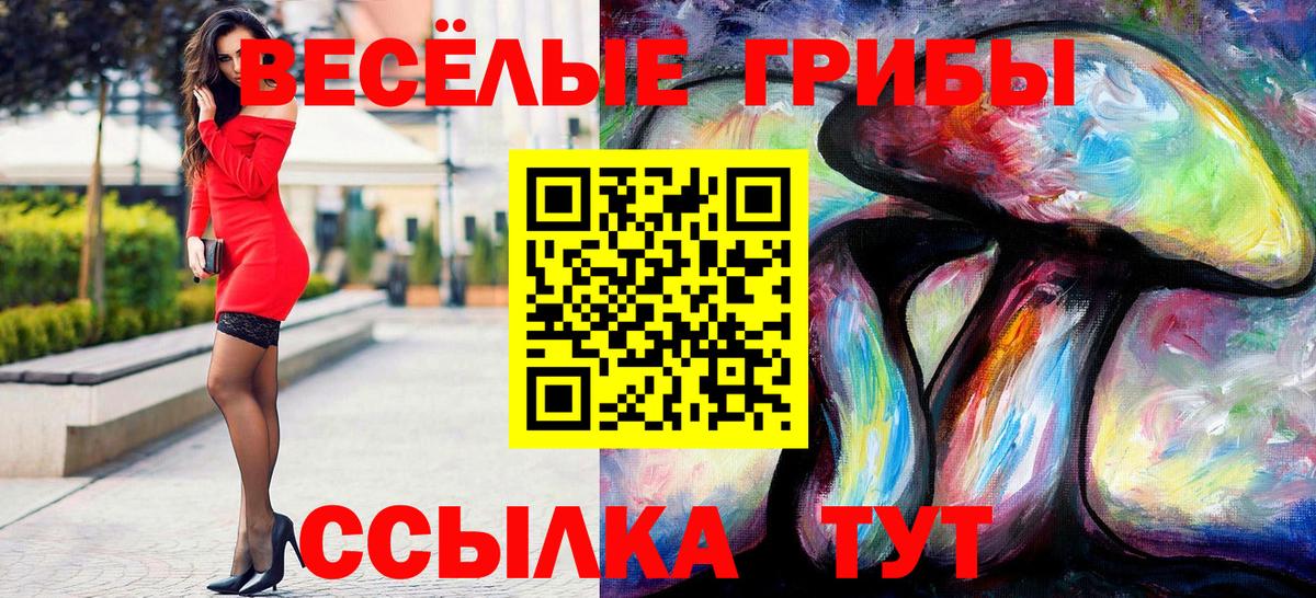 Галлюциногенные грибы GOLDEN TEACHER Тюмень