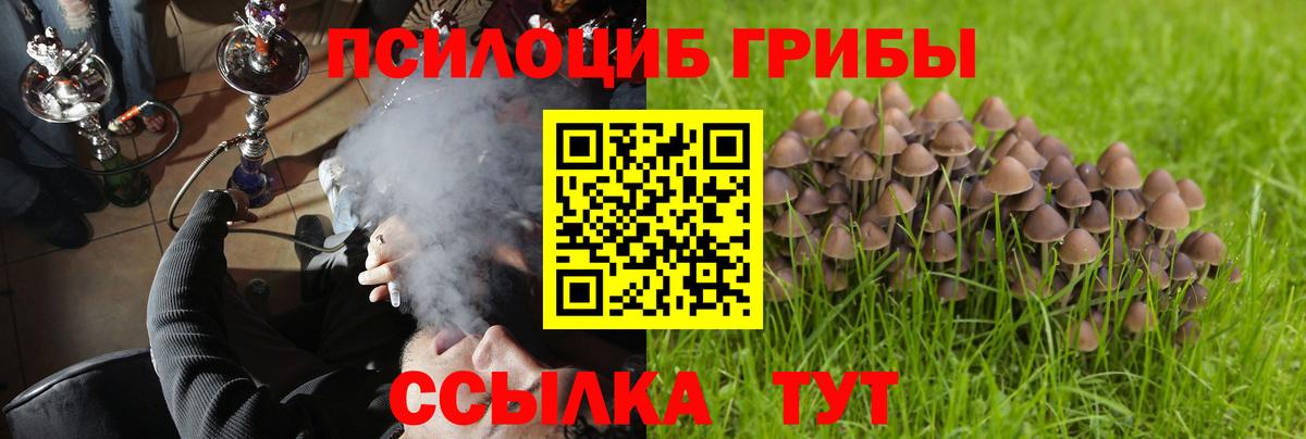 Тюмень  купить наркоту  Вход с VPN  Псилоцибиновые грибы Cubensis 